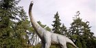 Sarang Dinosaurus Berisi Ratusan Telur Ditemukan, Ungkap Temuan Kontroversial