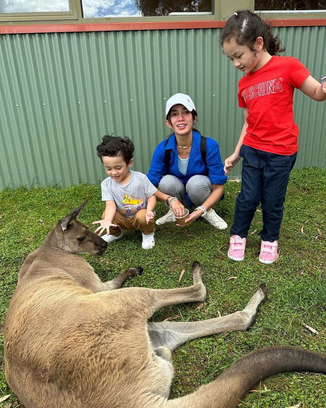 potret terbaru saka anak ussy beri makan kangguru