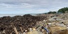 Tumpukan Sampah Menggunung di Pantai Padang, Selalu Terjadi Setelah Hujan Deras
