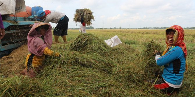 Kemenko Perekonomian: Pertanian Selalu Jadi Resiliensi dalam Masa Kritis
