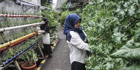 Menyulap Gang Sempit di Timur Jakarta Jadi Kampung Sehat