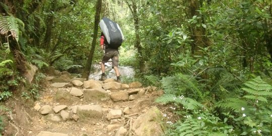 Sempat Hilang Kontak, Sembilan Pendaki Gunung Gede-Pangrango Ditemukan