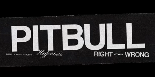 Lirik Lagu Pitbull x AYYBO x ero808 - RIGHT OR WRONG (HYPNOSIS)
