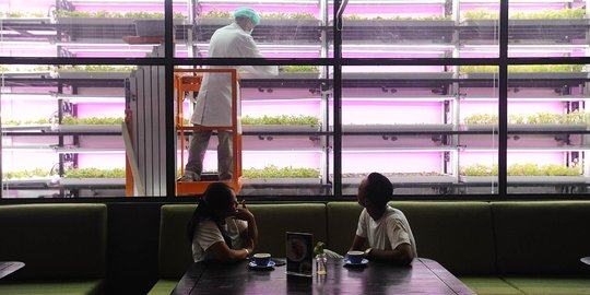Uniknya Restoran dengan Pertanian dalam Ruangan di Tangerang Selatan