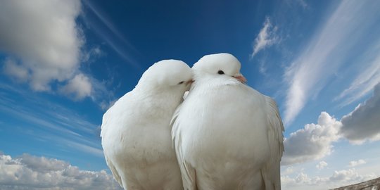90 Caption Romantis Islami untuk Pasangan Hidup, Penuh Ungkapan Cinta