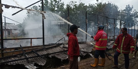 Cerita Relawan Saat Kebakaran Hanguskan Kandang, 7 Ribu Ayam Mati Terpanggang