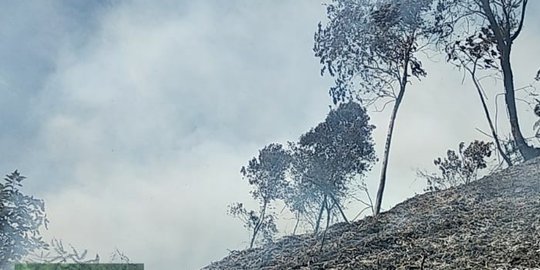 Siap Hadapi Kemarau, BPBD Riau Catat 300 Lebih Desa Rawan Karhutla