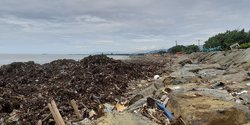 3 Hari Dibersihkan, Sampah di Pantai Padang Capai 248 Ton