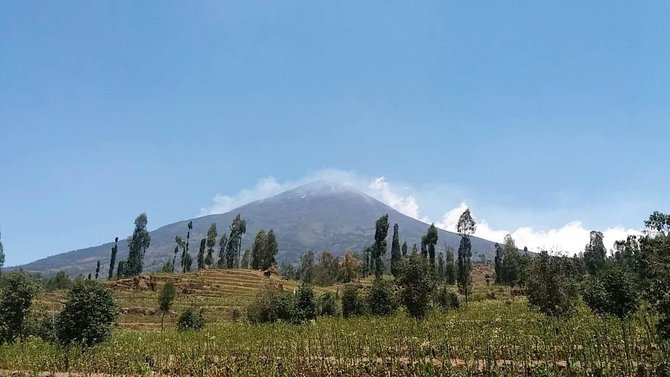 gunung sindoro