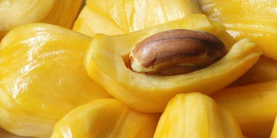 Resep Olahan Nangka yang Cocok untuk Sajian Camilan, Mudah Dibuat