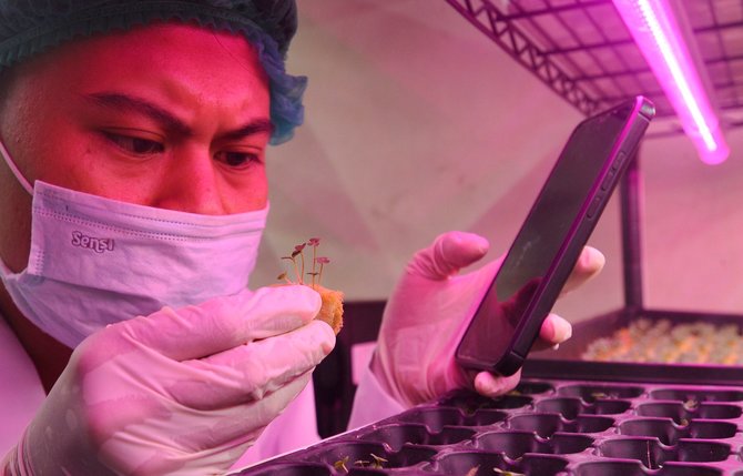 pertanian sistem controlled environment agricultural