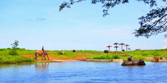 Wisata Bandar Lampung yang Hits dan Menarik, Jangan Sampai Terlewat