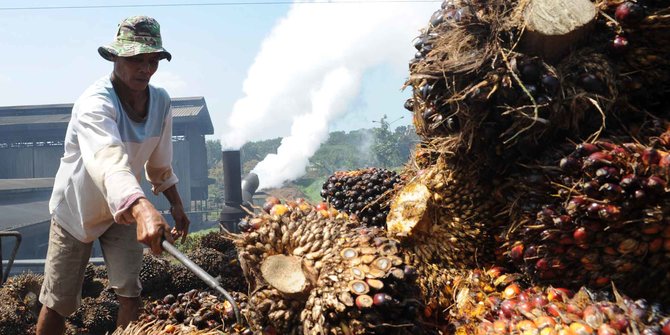 Dewan Energi Nasional: Program B35 Butuh Dukungan Pembiayaan dari Pemerintah