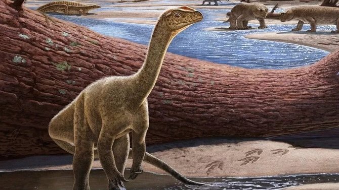 ilustrasi dinosaurus tertua di afrika