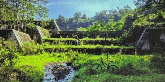 Mengenal Desa Wisata Pentingsari di Yogyakarta, Wajib Dikunjungi