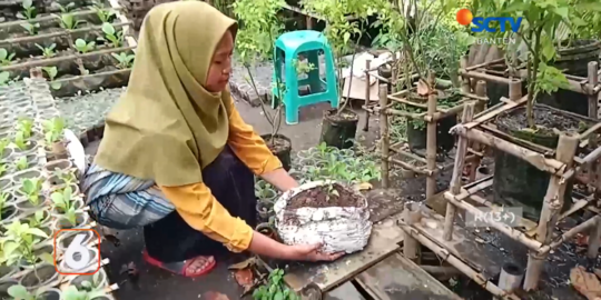 Peduli Lingkungan, Remaja Asal Serang Sulap Limbah Popok Jadi Media Tanam