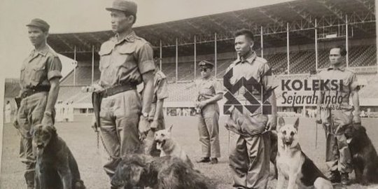 Potret Brigade Anjing Pertama Polisi Indonesia, Dilatih di Stadion Olahraga