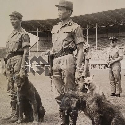 potret brigade anjing pertama polisi indonesia