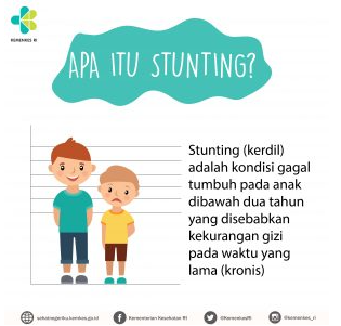 infografis stunting