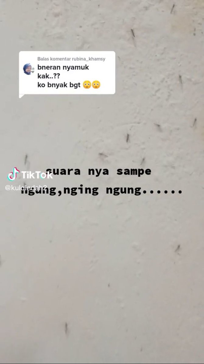 viral dinding rumah dipenuhi nyamuk bikin merinding