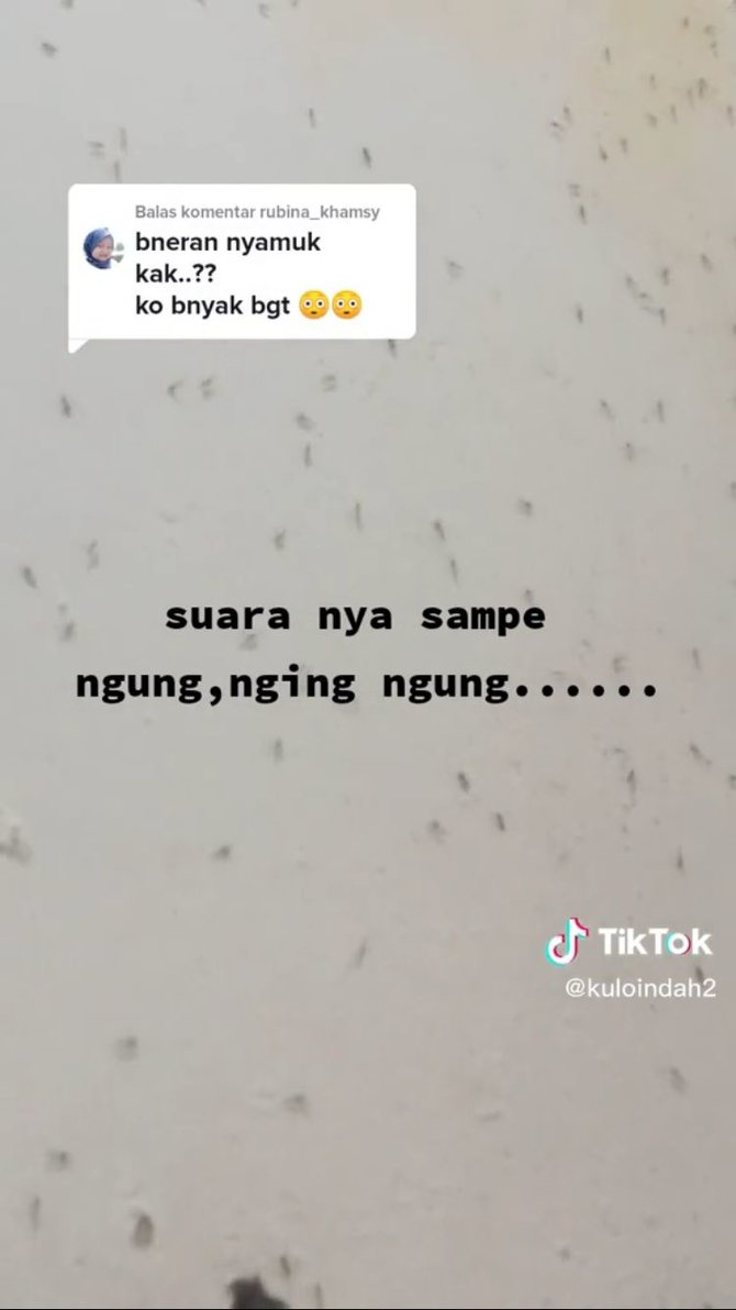 viral dinding rumah dipenuhi nyamuk bikin merinding
