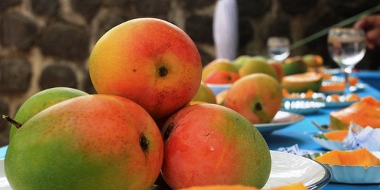 Sampai Bikin Jepang Kesengsem, Ini Uniknya Mangga Gedong Gincu Asli Sumedang