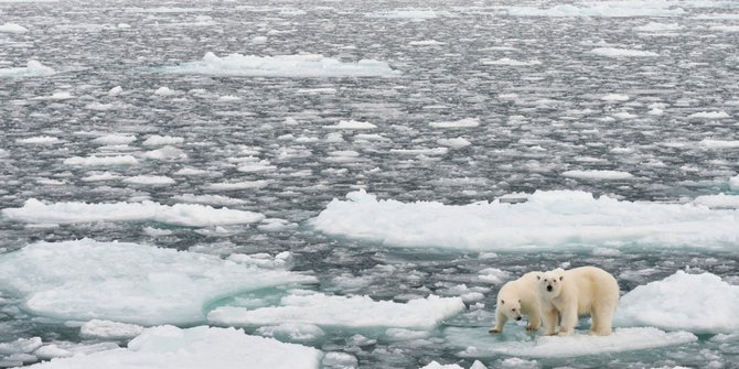 10 Penyebab Global Warming yang Wajib Diketahui, Penangkapan Ikan hingga Deforestasi