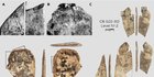 Manusia Purba Membuat Baju Sejak 120.000 Tahun Lalu, Buktinya Ditemukan dalam Gua