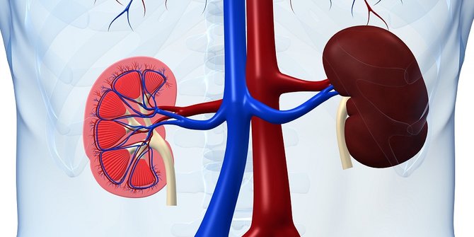 Epidemiolog Nilai Kasus Gagal Ginjal Akut Sudah Penuhi Kriteria Kejadian Luar Biasa