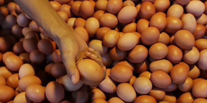 BPN Minta Harga Daging Hingga Telur Ayam Tak Terlalu Rendah