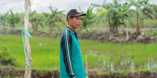 Petani Pulang Pisau Nilai Program Food Estate Berdampak Positif