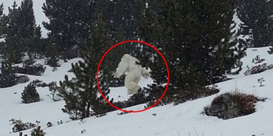 Misteri Makhluk Yeti di Himalaya Akhirnya Terungkap dari Temuan DNA