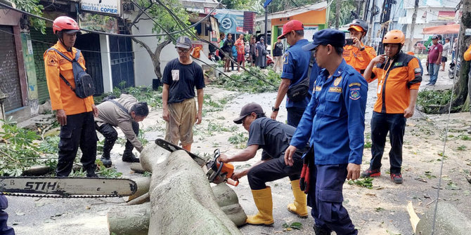 Angin Kencang Terjang Tangsel, Sejumlah Pohon dan Papan Reklame Tumbang