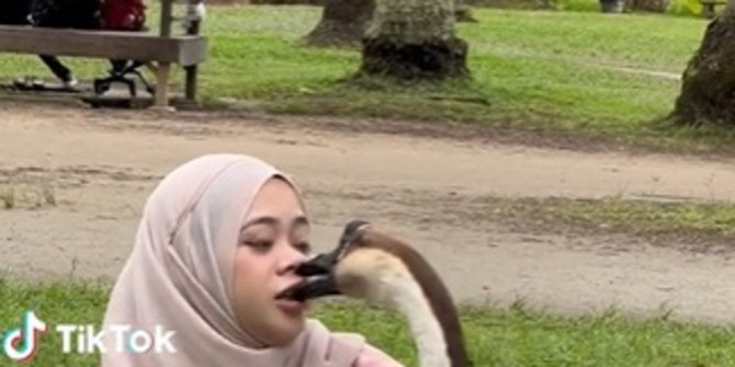 Nekat, Wanita Ini Ajak 'Ngobrol' Angsa dan Kuda, Akhirnya Ini yang Terjadi