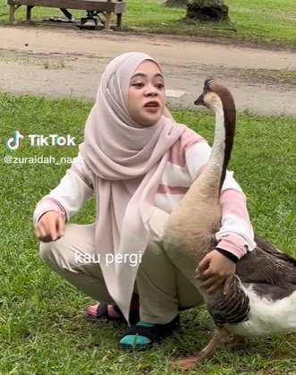 nekat wanita ini ajak 039ngobrol039 angsa dan kuda akhirnya ini yang terjadi