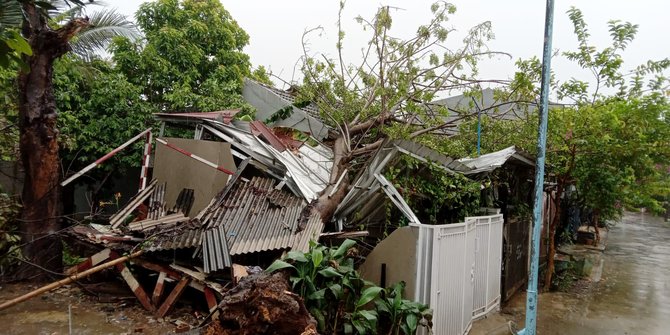 Hujan dan Angin Kencang, Pohon Angsana Tumbang Timpa Rumah Warga Bekasi