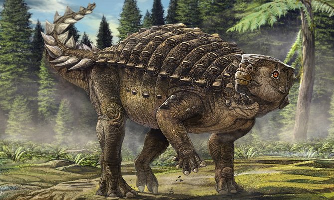 jenis dinosaurus
