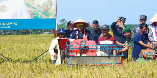 Panen Raya Di Bengkulu, Mentan Apresiasi Keberhasilan Petani Tingkatkan ...