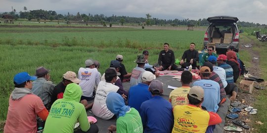Banyuwangi Genjot Produksi Bawang Merah & Cabai Rawit lewat Sekolah Lapang