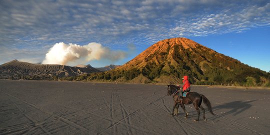 Kondisi Terbaru Gunung Bromo, Status Waspada dan Didominasi Gempa Tremor