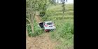 Viral Mobil Tersesat di Hutan Tambakromo Pati, Pengemudi Ditemukan Linglung