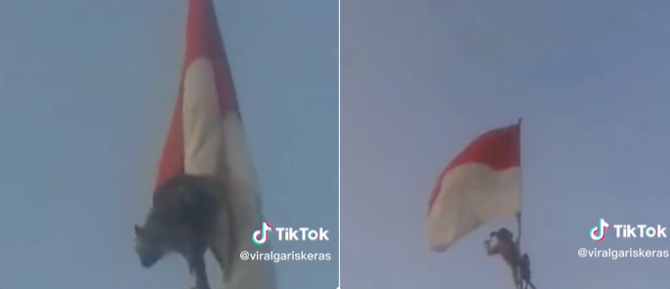 viral seekor monyet benarkan bendera merah putih yang terlilit aksinya jadi sorotan