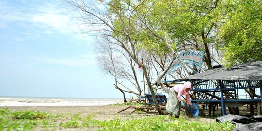 6 Potensi Wisata Alam di Pesisir Bekasi Belum Digarap Maksimal