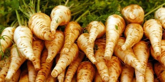 6 Manfaat Parsnip untuk Kesehatan, Sayur Kaya Serat untuk Kekuatan Tulang