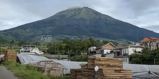 Mengunjungi Desa Tersembunyi di Lereng Gunung Sumbing, Surganya Kopi Arabika