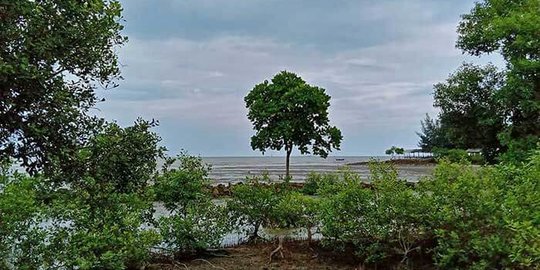 Ada Bunker Milik Tentara Jepang, Ini 3 Potret Pantai Sejarah di Kabupaten Batu Bara