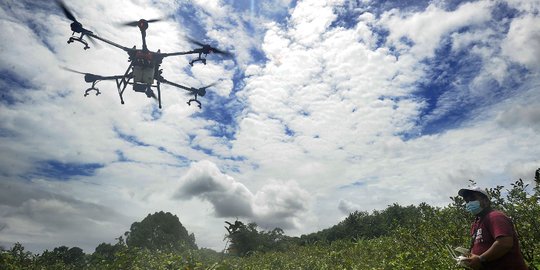 Inovasi Petani di Bogor Manfaatkan Drone untuk Siramkan Pupuk