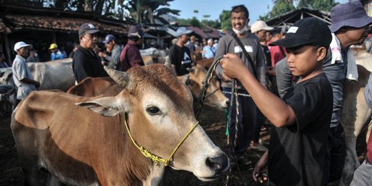 Peternak di Kota Bogor Dapat Bantuan Rp1 Miliar usai Wabah PMK