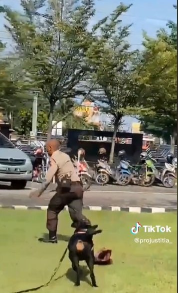 momen viral polisi pasang muka sangar latih anjing pelacak ending nya lari terbirit birit