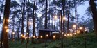 Potret Penginapan Unik & Estetik di Tengah Hutan Pinus Bak Negeri Dongeng